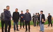 县长栗团结调研麦田管理和耕地保护工作