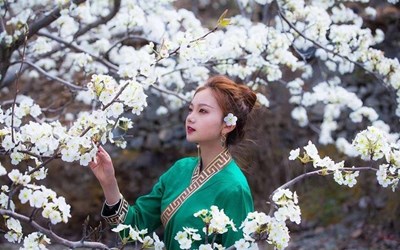 春有约、花不负，中国·宁陵第二十一届梨花周欢迎您！